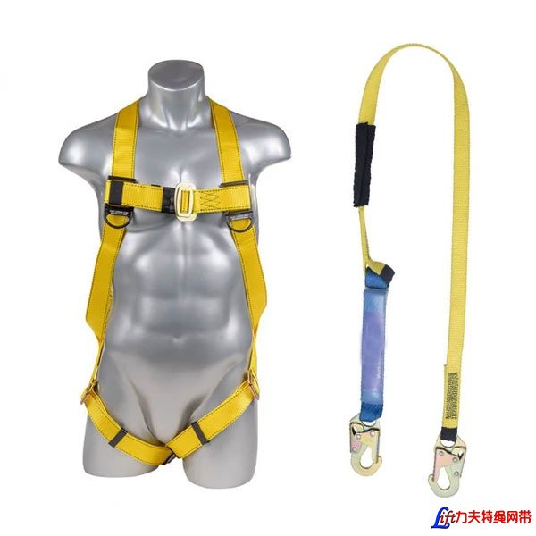 Safety Harness Single Leg Lanyards-Fall Arrest Sin